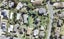 157 Carlisle Road, Northcross, Auckland - Carousel 1