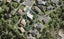 19 McKinley Road, Sunnyvale, Auckland - Carousel 1