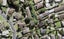 35E Seon Place, Birkdale, Auckland - Carousel 1