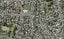 39 La Trobe Street, Pakuranga Heights, Auckland - Carousel 1