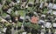 82A Renfrew Avenue, Sandringham, Auckland - Carousel 1