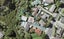 11 Pixie Place, Pakuranga Heights, Auckland - Carousel 1