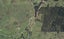 1296 Wekaweka Road, Waimamaku, Kaikohe - Carousel 1