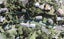 7 Heatherleigh Rise, Northcross, Auckland - Carousel 1