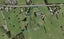 1309 Alfriston Road, Manurewa - Carousel 1