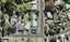 3/2 Pomelo Road, Te Atatu South, Auckland - Carousel 1