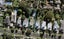 10 Ara Street, Remuera, Auckland - Carousel 1
