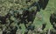 6 Trig Station Rise, Paremoremo, Auckland - Carousel 1