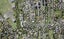 7A Takitimu Street, Orakei, Auckland - Carousel 1
