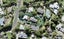 2/77 Hebron Road, Waiake, Auckland - Carousel 1