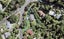 786 South Titirangi Road, Titirangi, Auckland - Carousel 1