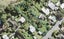 21 Okura River Road, Okura, Auckland - Carousel 1