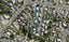 1/125A View Road, Sunnyvale, Auckland - Carousel 1