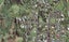 2 Dowman Street, Urenui, Urenui - Carousel 1