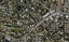 572 Remuera Road, Remuera, Auckland - Carousel 1