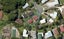 13 Mariposa Place, Te Kamo, Whangarei - Carousel 1