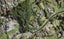 164 Polo Prince Drive, Alfriston, Auckland - Carousel 1