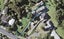 174 Maraetai Drive, Maraetai, Auckland - Carousel 1