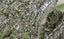 9B Catalina Crescent, Forrest Hill, Auckland - Carousel 1