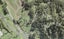 1505 East Coast Road, Albany - Carousel 1