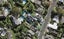 46 Bell Road, Remuera, Auckland - Carousel 1