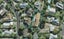 14A The Glen, Remuera, Auckland - Carousel 1