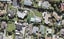 12A Dawn Place, Te Atatū South, Auckland - Carousel 1