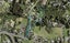 336A Redoubt Road, Totara Park, Auckland - Carousel 1