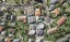 3B Koa Street, Meadowbank, Auckland - Carousel 1
