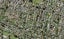 10A Bagnall Avenue, Point England, Auckland - Carousel 1
