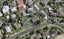 17B Bedlington Avenue, Manurewa, Auckland - Carousel 1