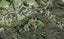 2 Trig Station Rise, Paremoremo, Auckland - Carousel 1
