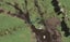 27 Kapowai Boulevard, Takanini, Auckland - Carousel 1