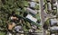 4/72 Sylvan Avenue, Northcote, Auckland - Carousel 1