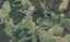 582 Hautapu Road, Pakaraka, Kaikohe - Carousel 1