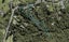 139 The Avenue, Lucas Heights, Auckland - Carousel 1