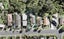 101 John Downs Drive, Browns Bay, Auckland - Carousel 1