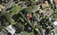 3 Bacardi Place, Conifer Grove, Takanini - Carousel 1