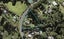 53 Paremoremo Road, Lucas Heights, Auckland - Carousel 1