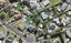 18C Mackenzie Street, Te Atatu South, Auckland - Carousel 1