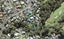 48 Taupo Street, Green Bay, Auckland - Carousel 1