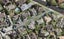 31B Stratford Road, Manurewa, Auckland - Carousel 1