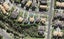 23 Ashurst Lane, Greenhithe, Auckland - Carousel 1