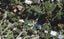 17 Trig Hill Road, Onetangi, Waiheke Island - Carousel 1