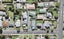 1/1 Blease Street, New Lynn, Auckland - Carousel 1