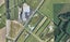 7 Sedgemoor Lane, Tahawai, Katikati - Carousel 1