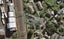 4 Mcdonald Place, Otahuhu, Auckland - Carousel 1