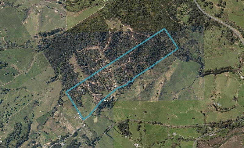 97 Panekaira Road, Mangapai, Whangarei - Carousel 1
