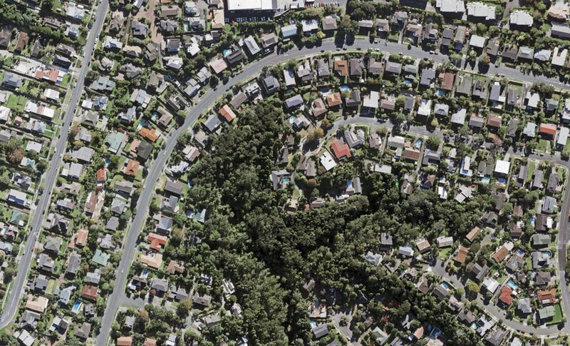 41 Barlow Place, Chatswood, Auckland - Carousel 1