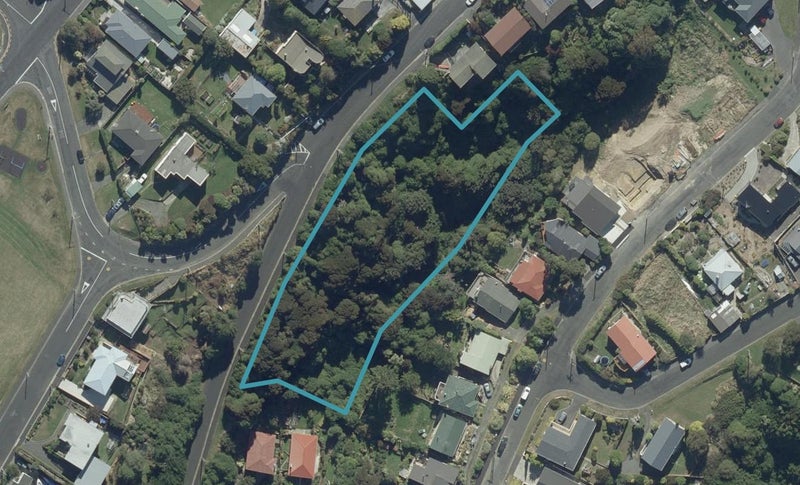 115 Dunrobin Street, Waverley, Dunedin - Carousel 1